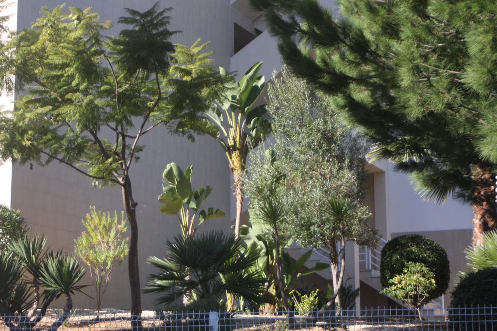 Albufeira Lovely New Apartment W/ Pool Exteriör bild